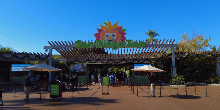 San diego Zoo